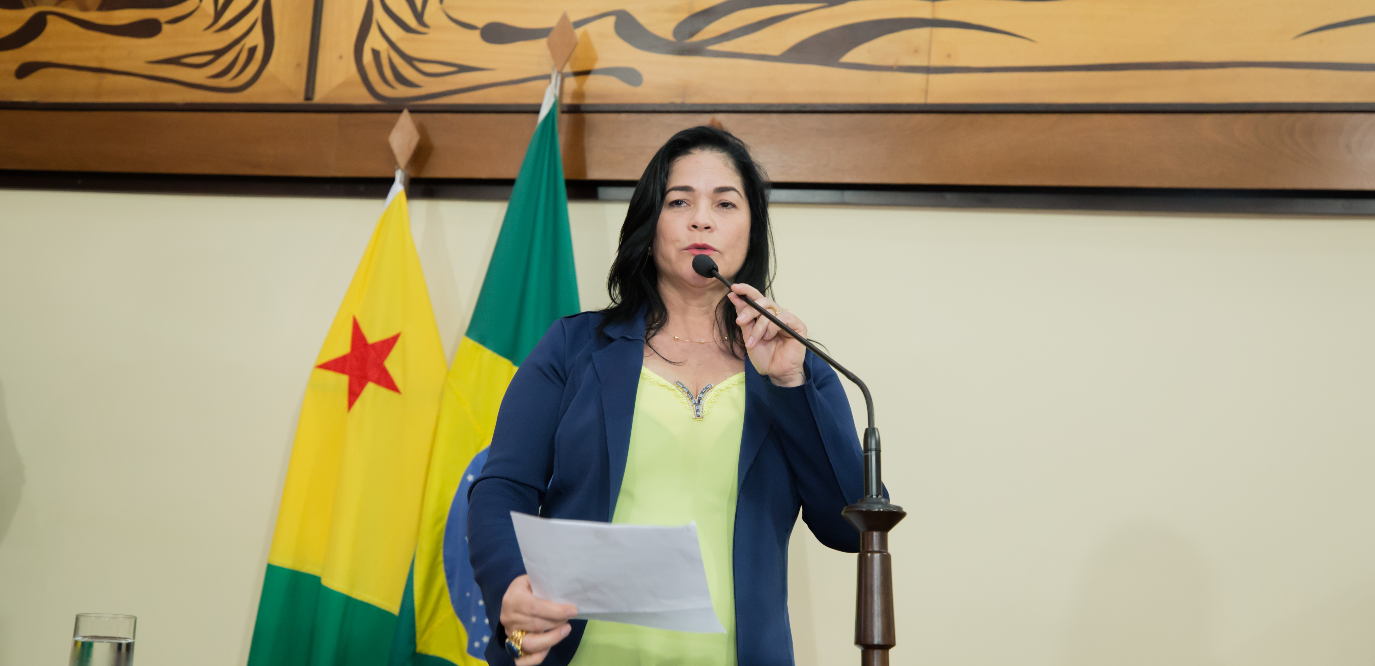 Deputada Maria Antônia quer dispensadores de álcool em gel em ambientes públicos Deputada Maria Antônia quer dispensadores de álcool em gel em ambientes públicos