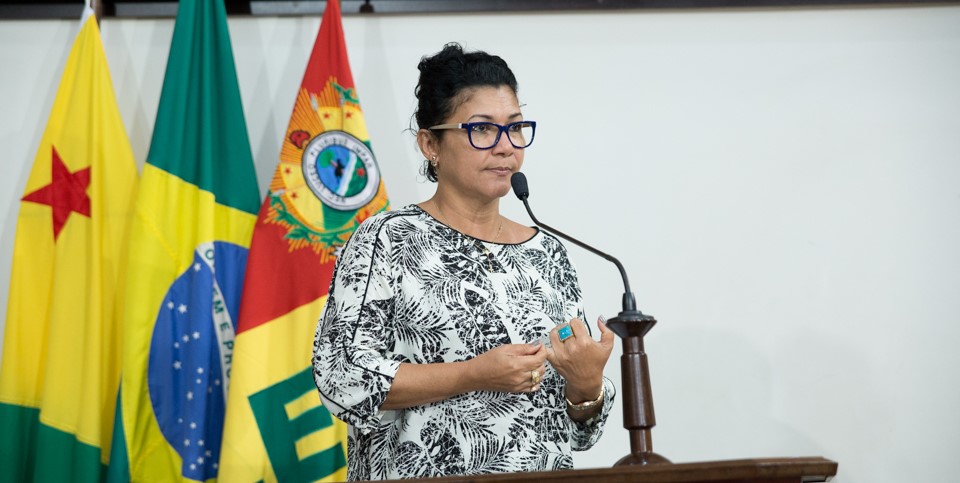 Deputada Eliane Sinhasique questiona PL que oferece imóveis como garantia de empréstimo