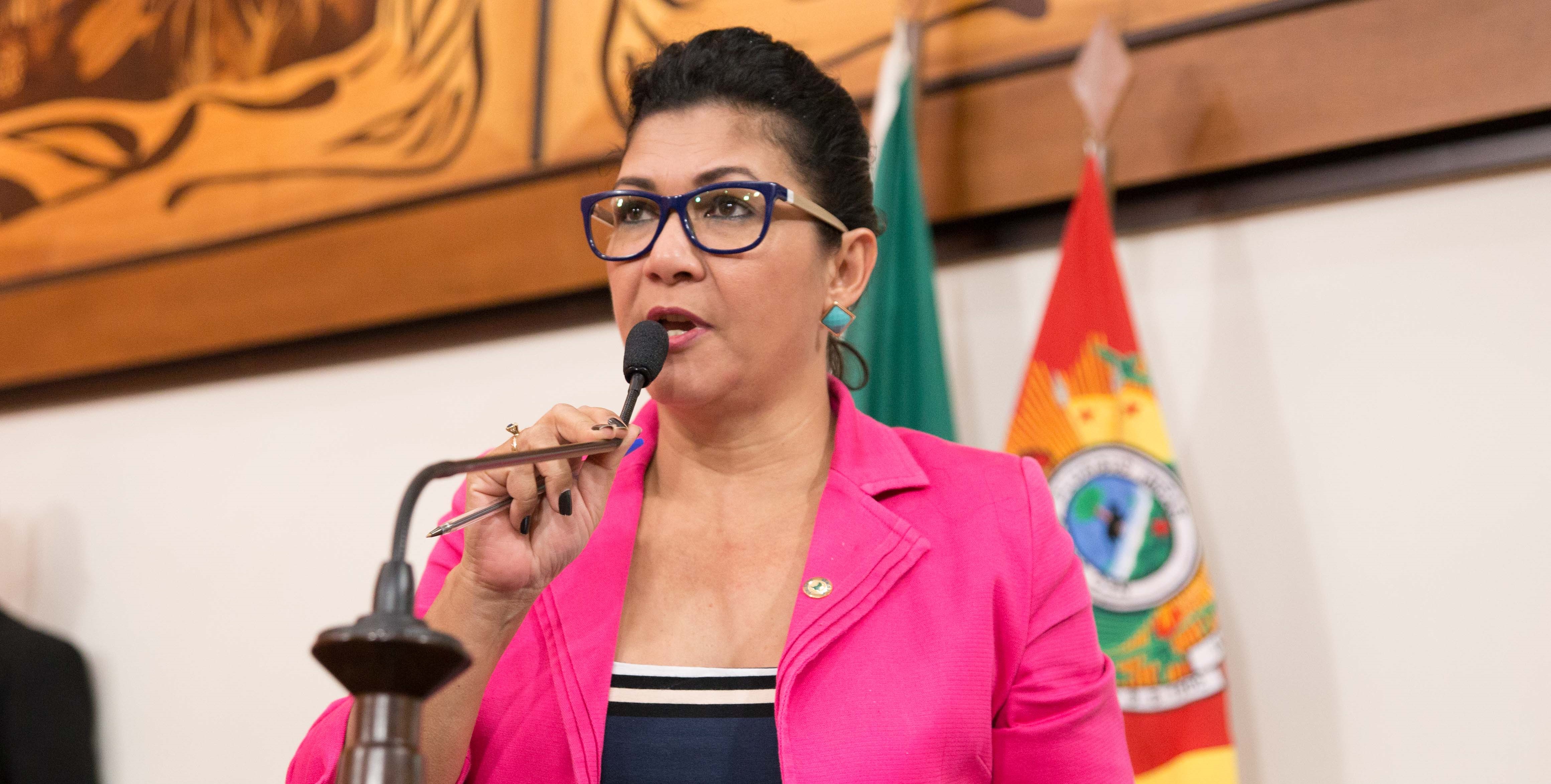 Deputada Eliane Sinhasique critica veto do governador a projeto de sua autoria