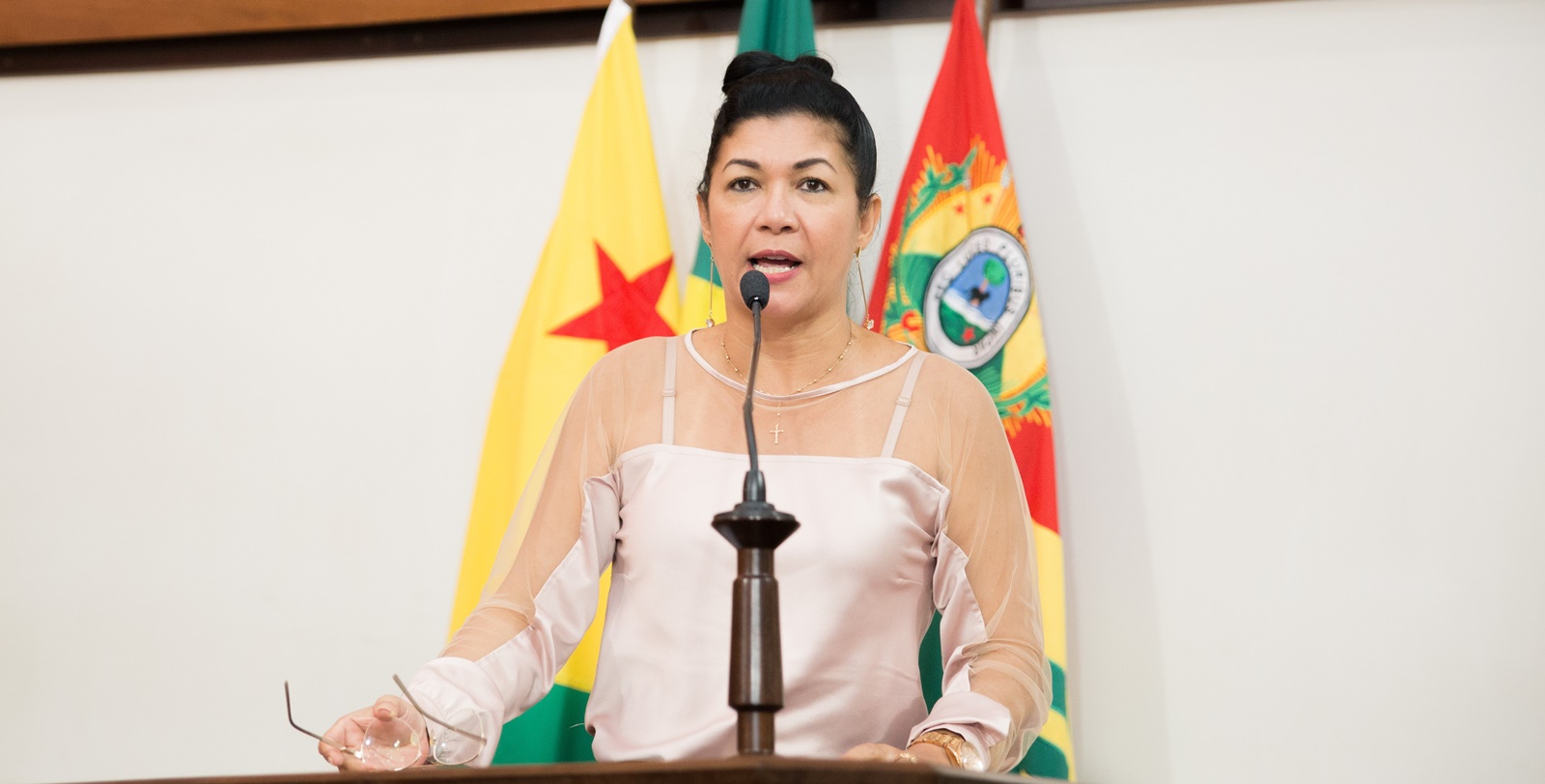 Deputada Eliane Sinhasique reivindica melhorias para produtores rurais da Transacreana