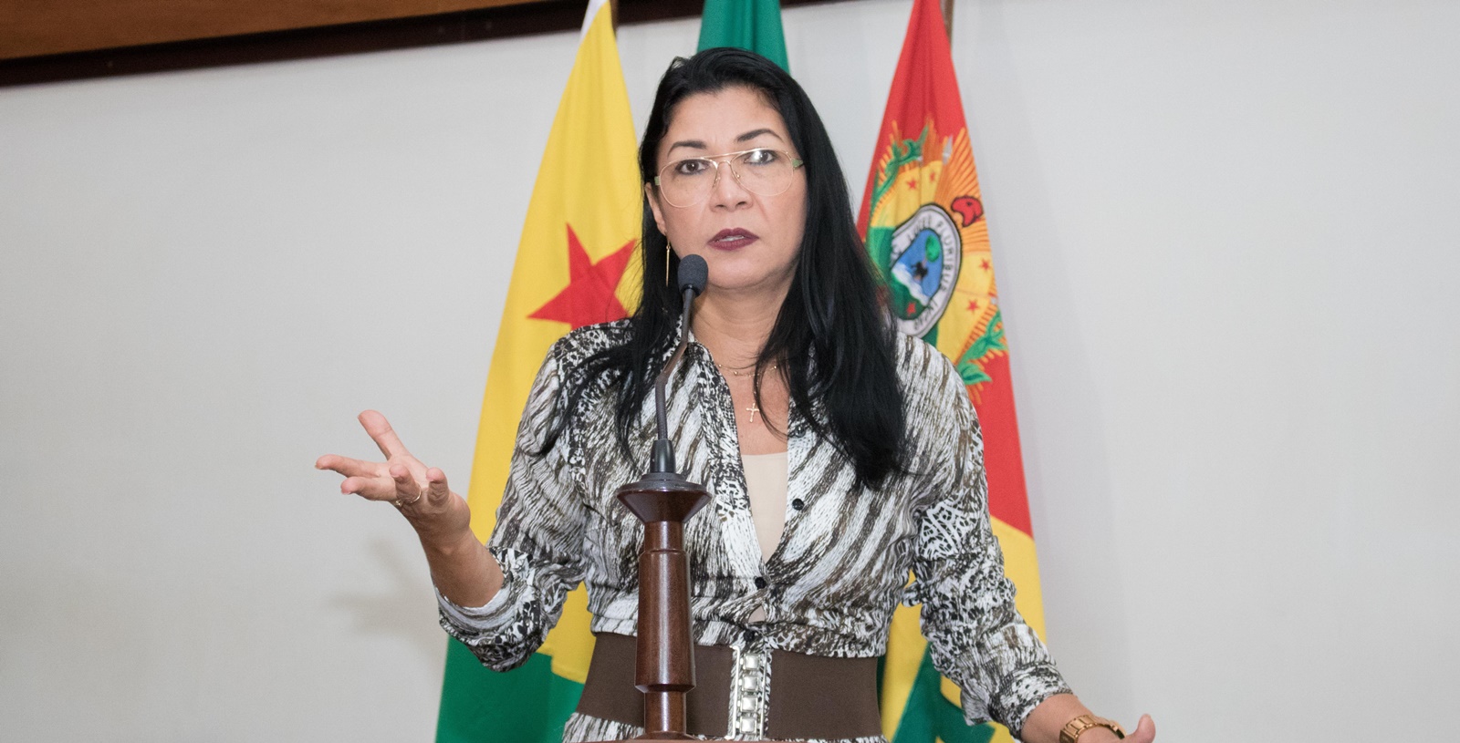 Deputada Eliane Sinhasique quer esclarecimentos acerca da morte de recém-nascidos no Santa Juliana
