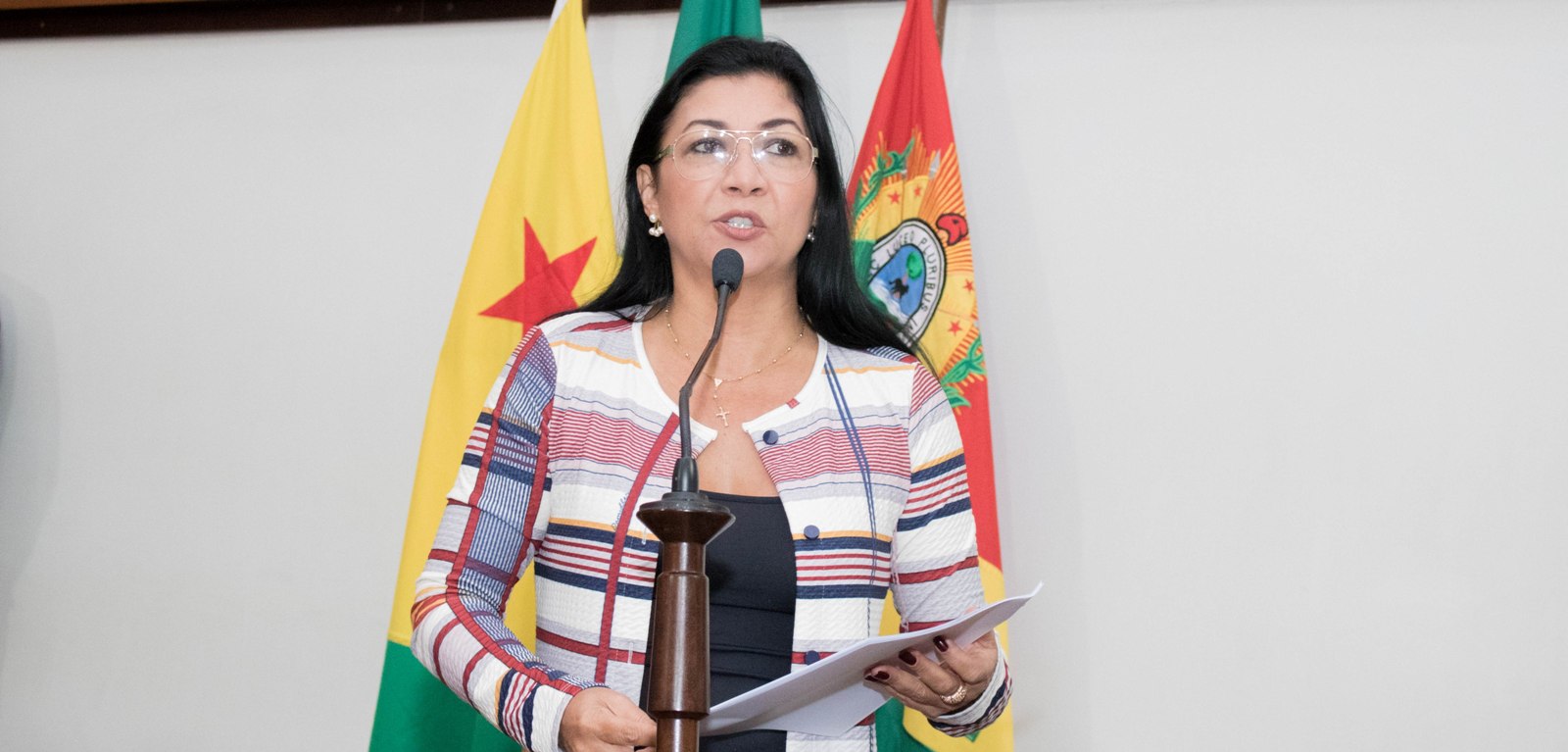 Deputada Eliane Sinhasique apresenta propostas para diminuir violência no Estado