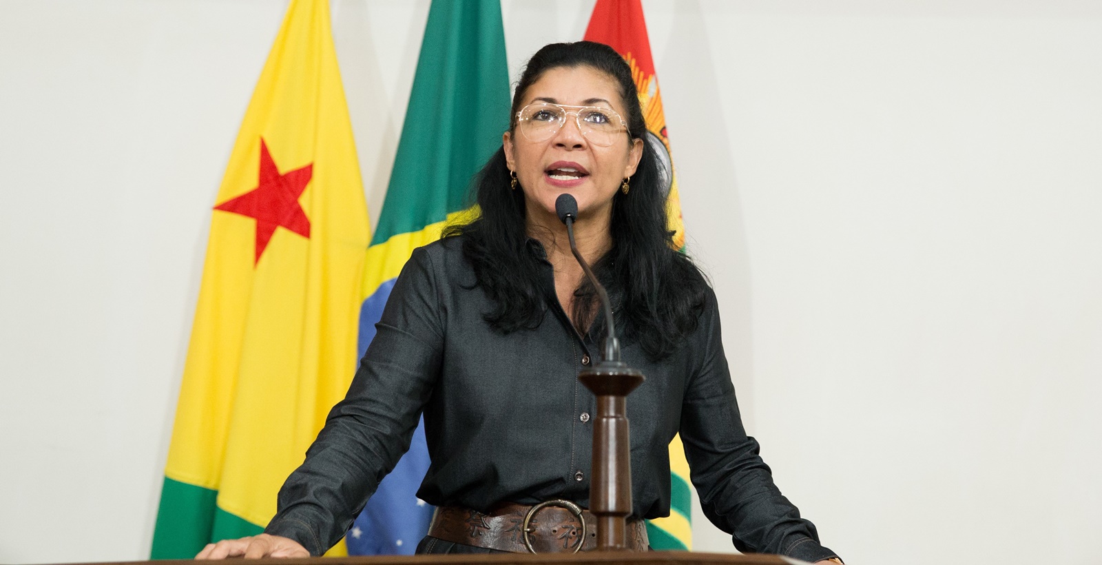 Deputada Eliane Sinhasique destaca propostas para diminuir violência contra a mulher no Estado