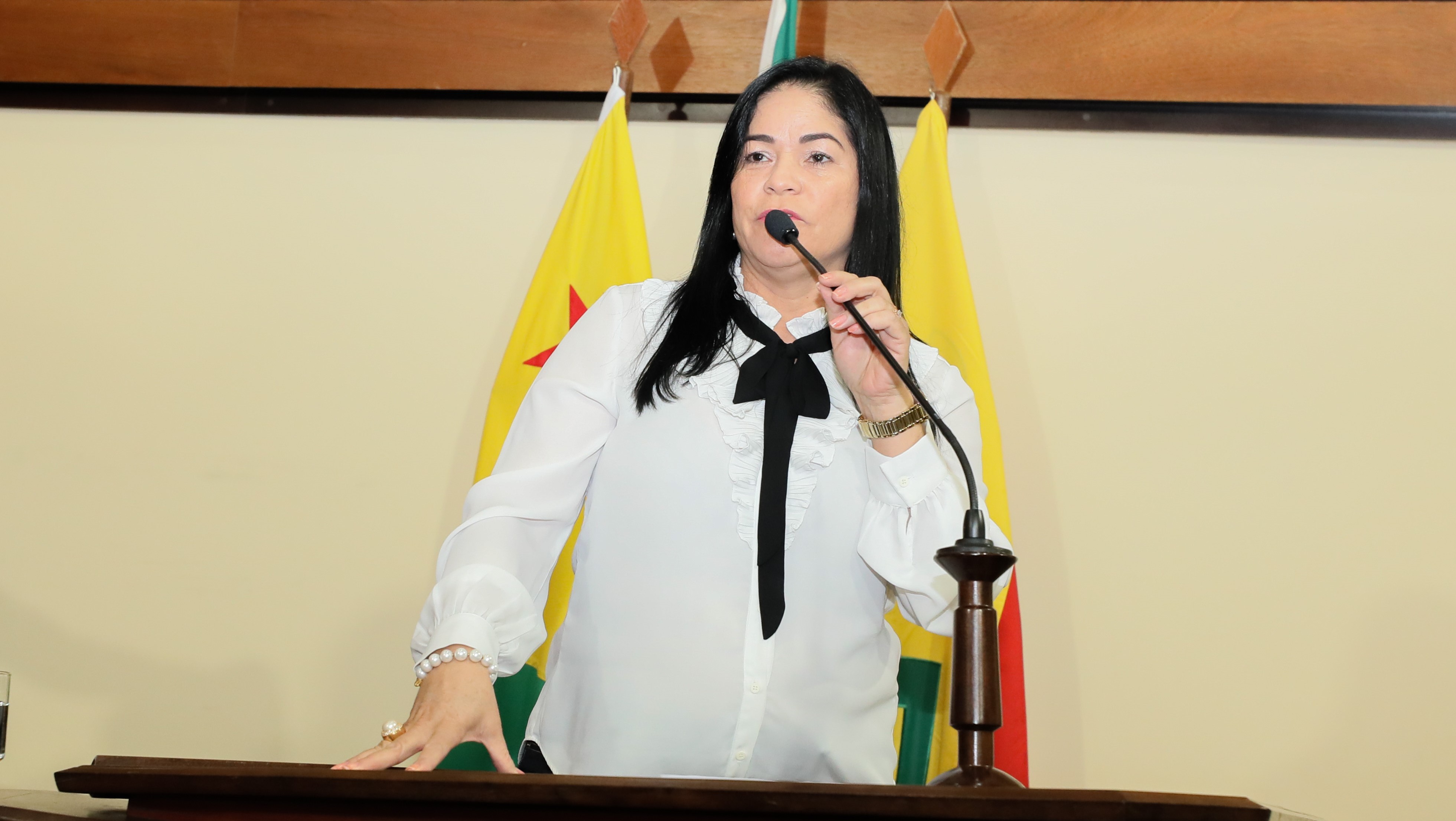 Maria Antônia apresenta moção de pesar a vítimas de acidente de carro ocorrido na Vila São Pedro