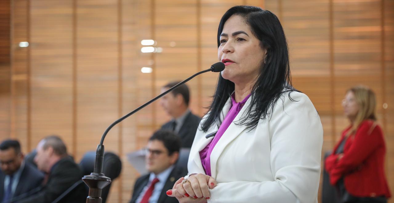 <strong>Maria Antônia defende recuperação das BR’s 364 e 317 “A situação está precária”</strong>