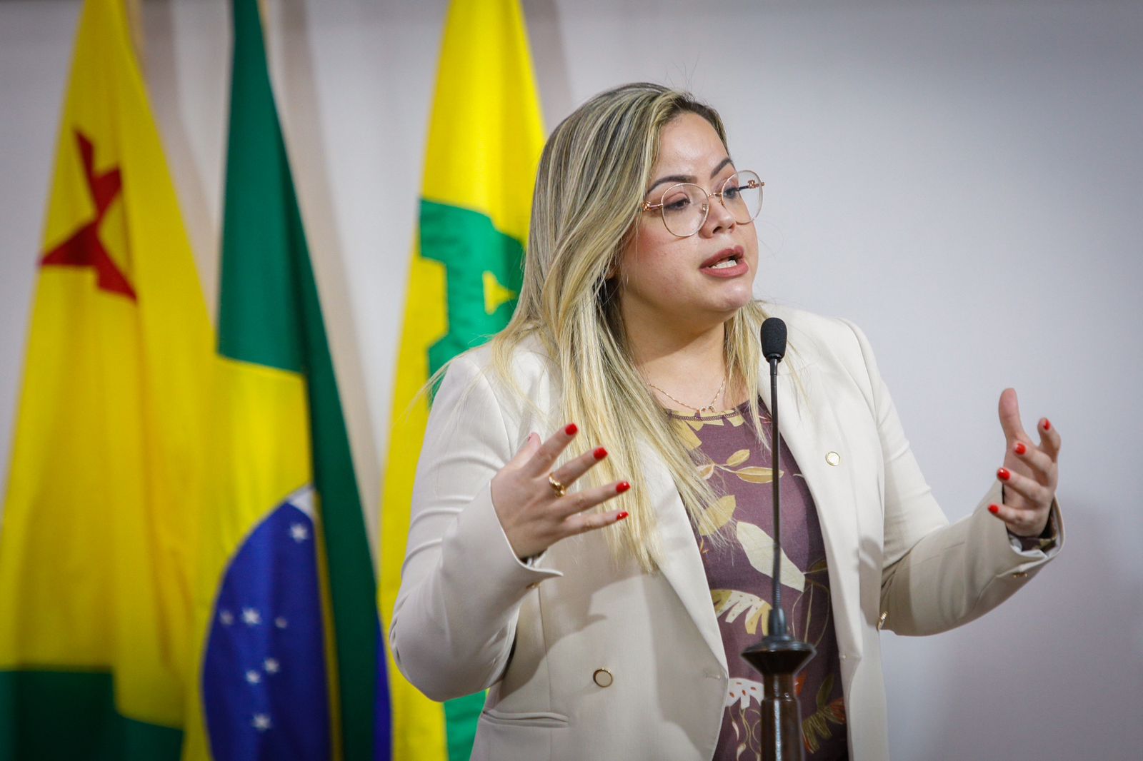 Michelle Mello anuncia perspectiva de novos rumos para o Acre em Sessão Ordinária