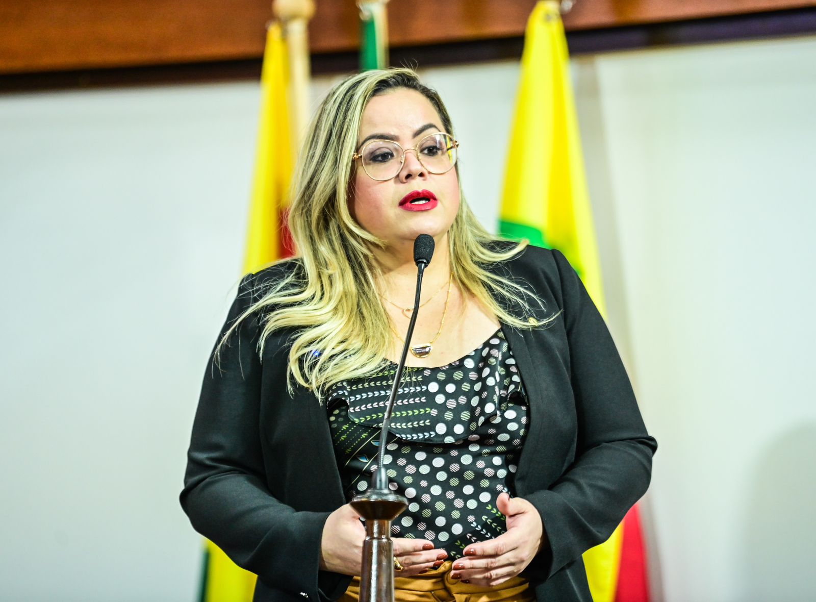 Deputada Dra. Michelle Melo defende assistência social e revitalização cultural em discurso na Aleac