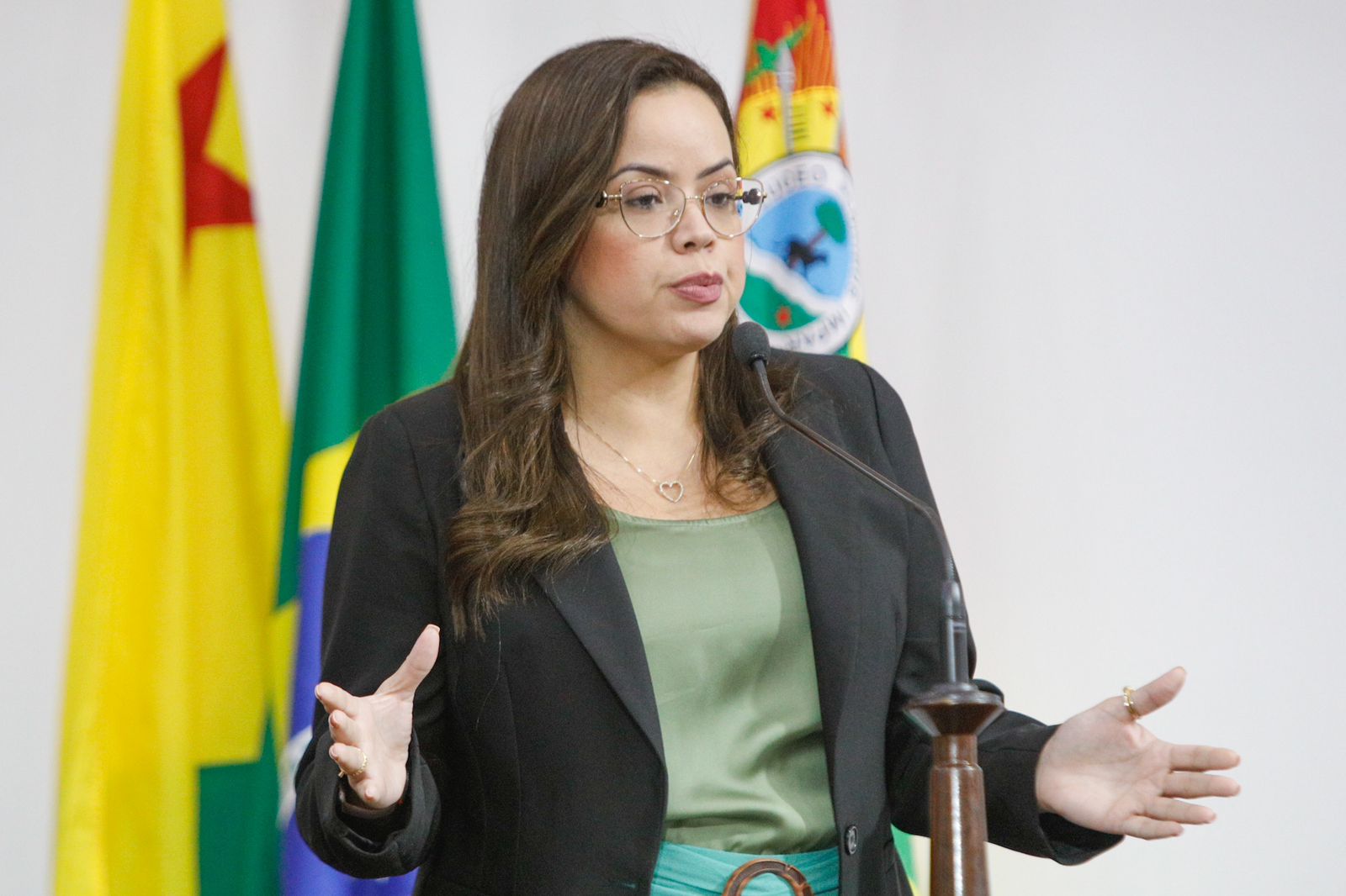 Michelle Melo pede urgência na execução de Plano de Contingência durante enchentes