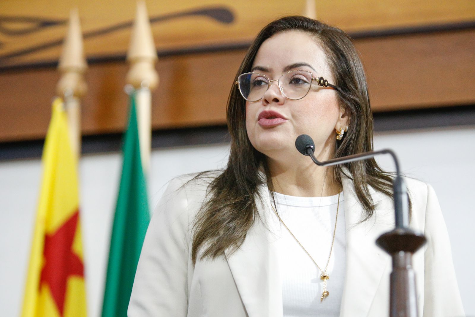 Deputada Michelle Melo denuncia descasos na Saúde e fala sobre matéria veiculada no Fantástico