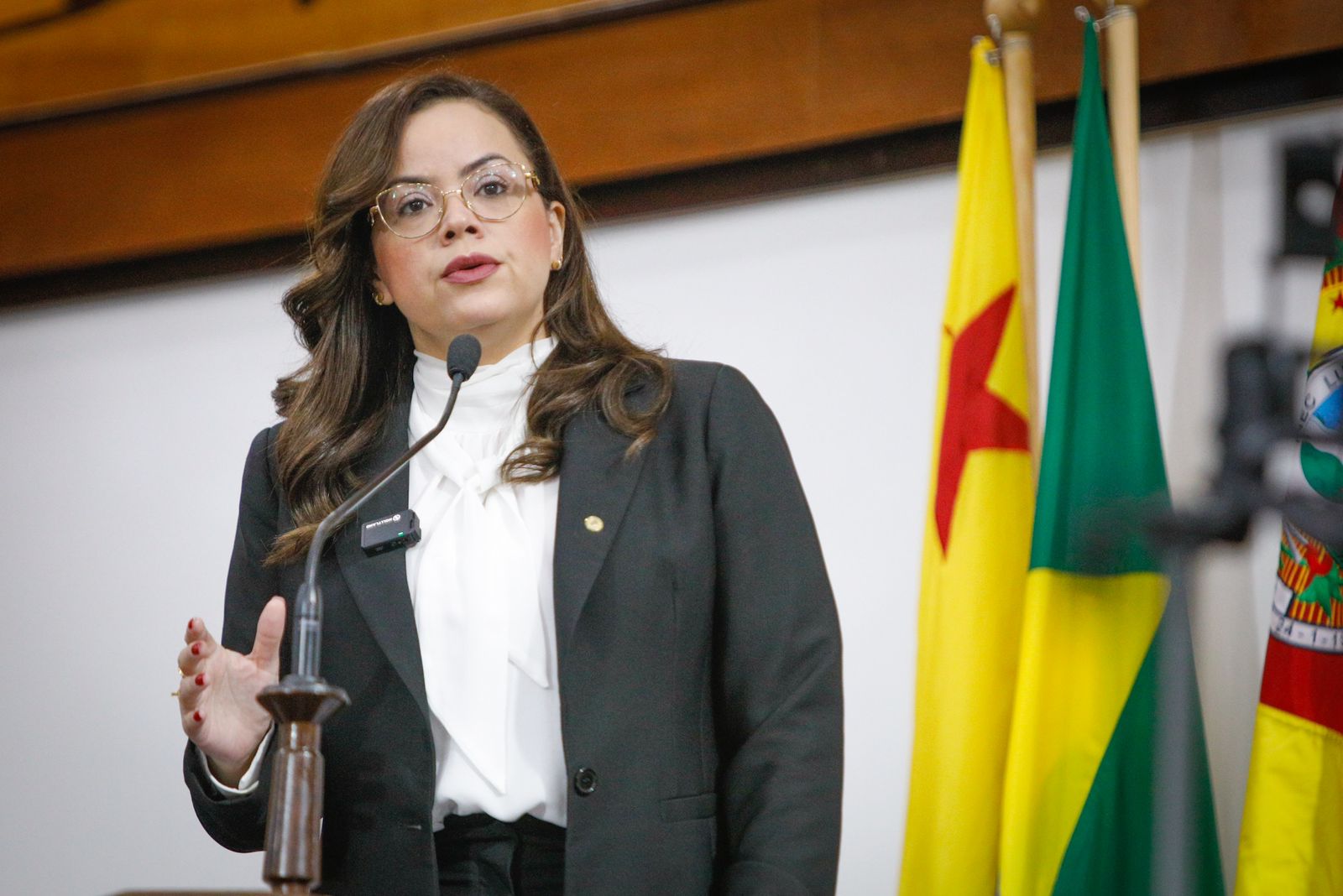 Michelle Melo lamenta acidente aéreo e pede informações em convênios entre estado e a prefeitura de Plácido de Castro