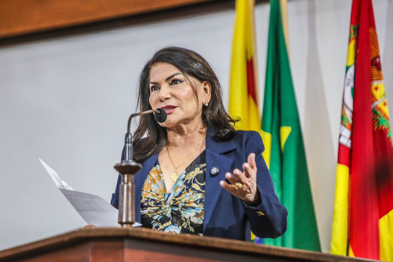 Deputada Antônia Sales destaca avanços nas emendas parlamentares para apoio social
