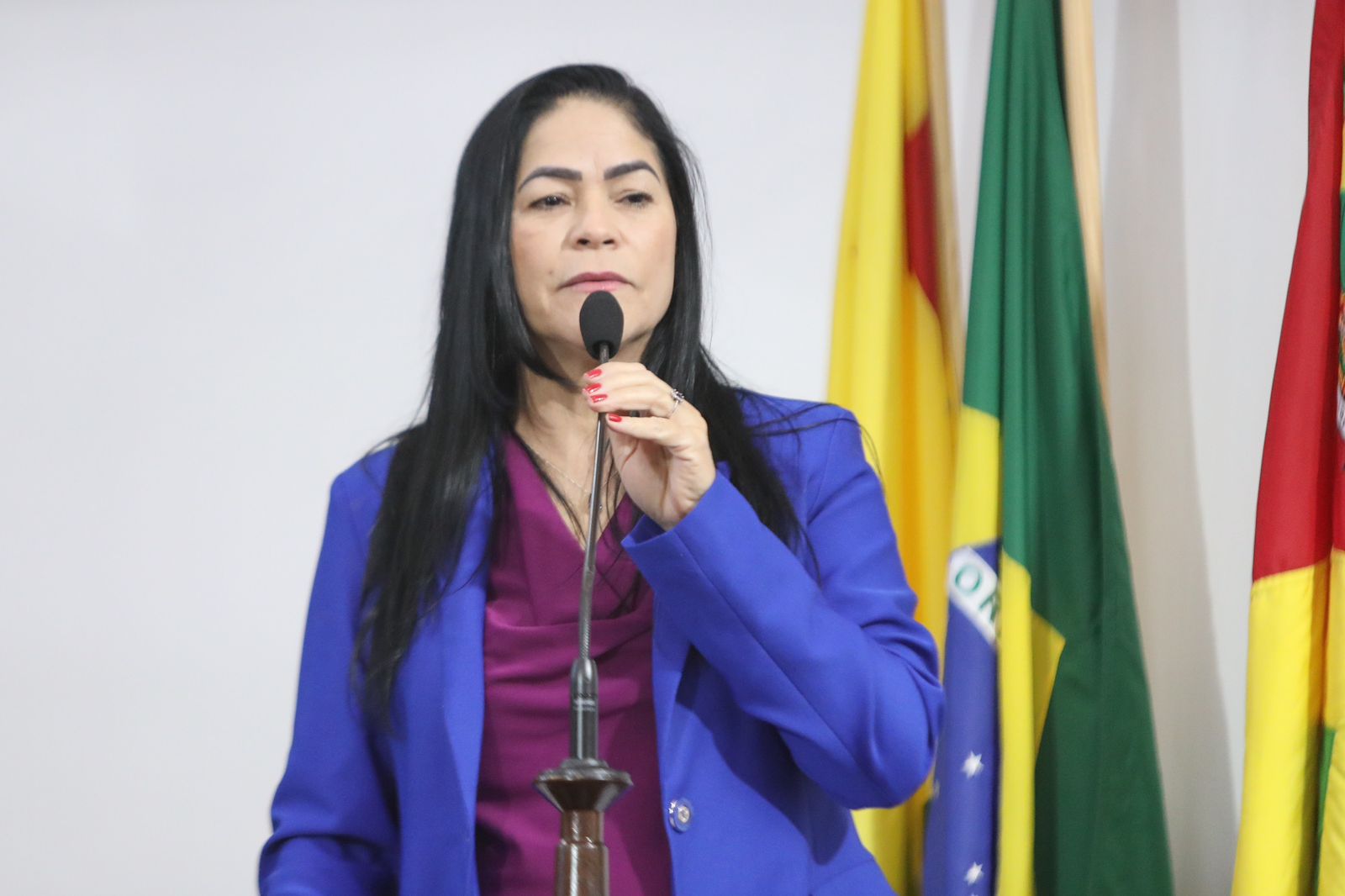 Maria Antônia cobra providências sobre acidentes de trânsito e poluição durante sessão na Aleac