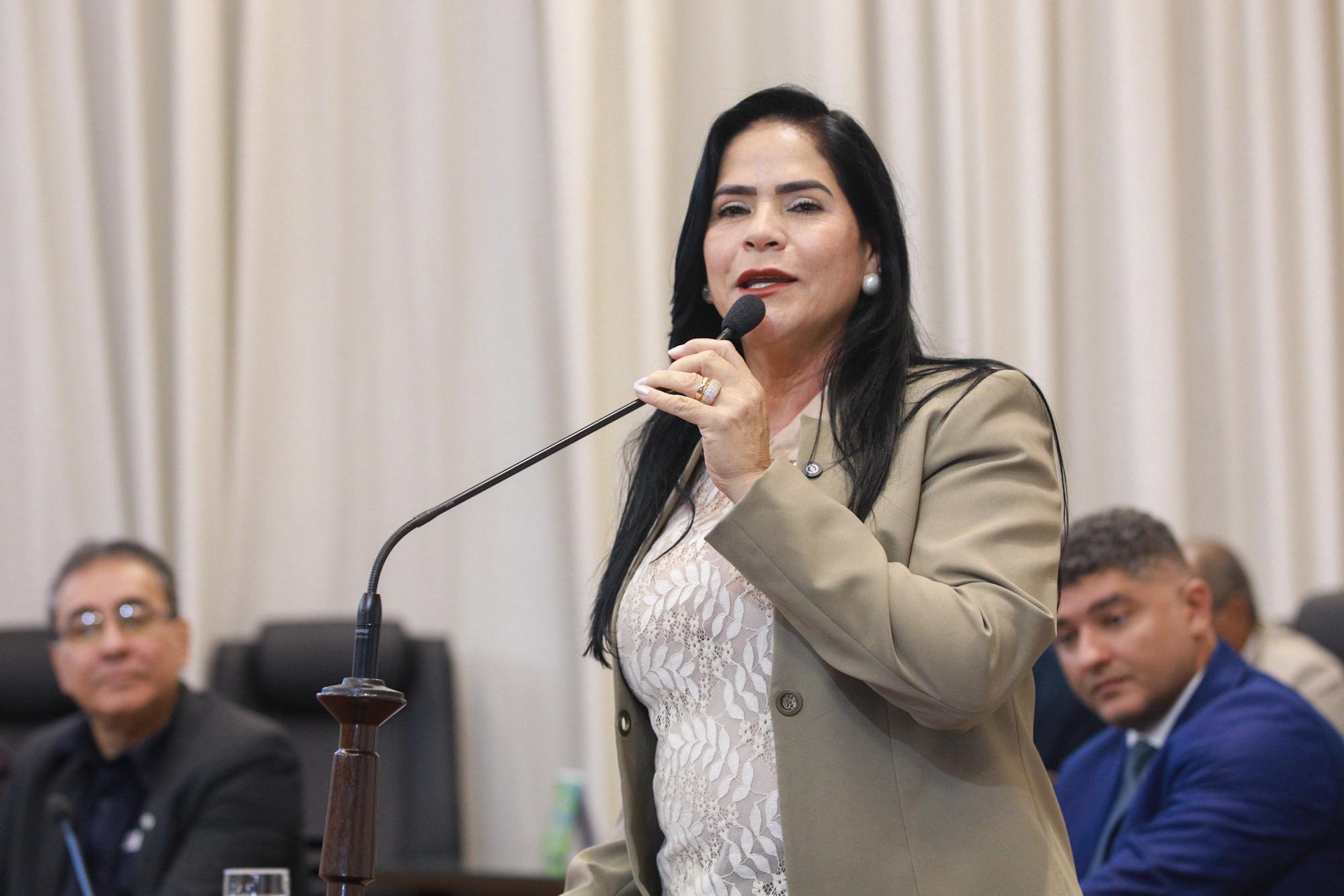 Deputada Maria Antônia defende melhorias na BR-364 e cobra solução para ponte de Rodrigues Alves