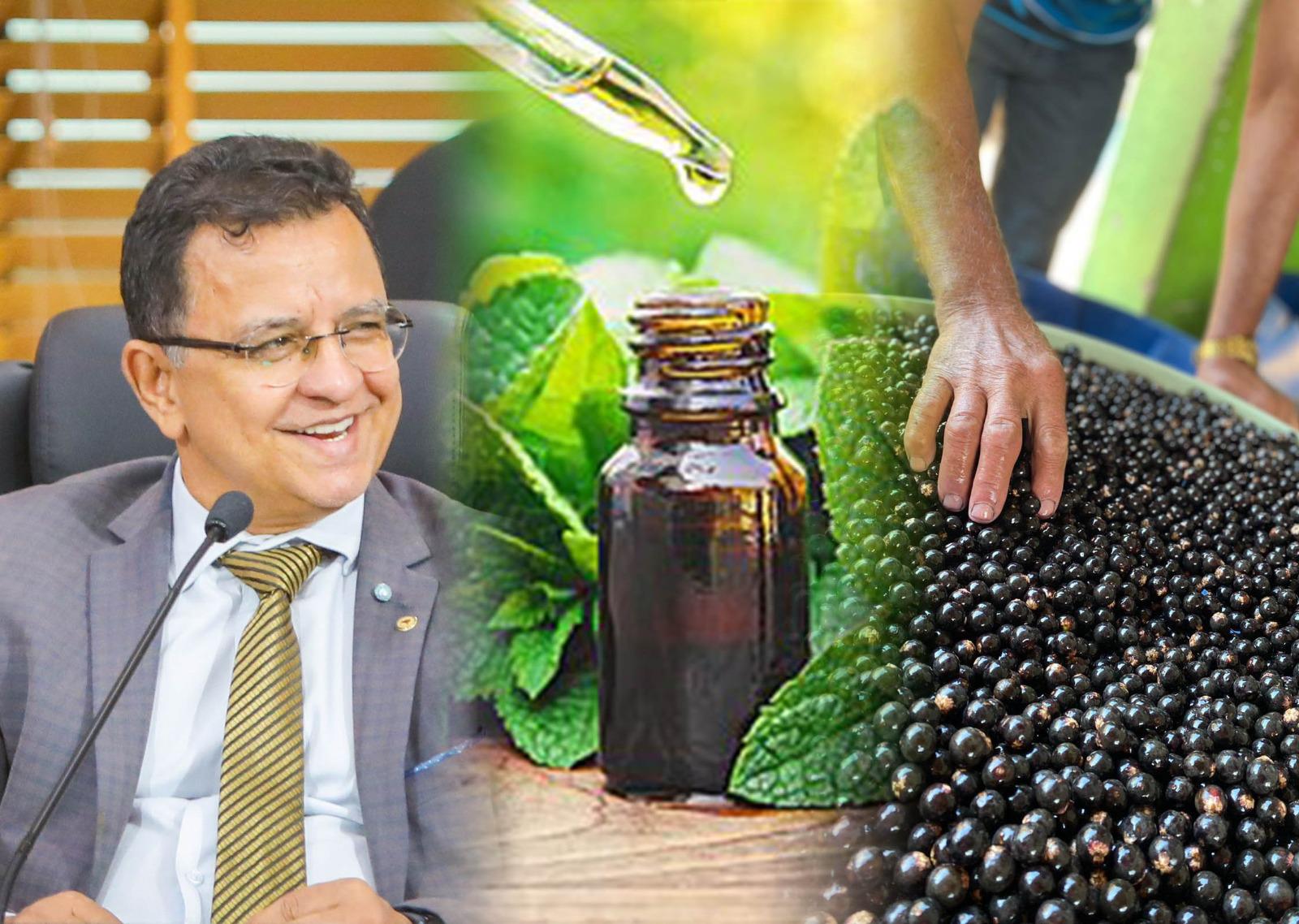 Aleac aprova PLs de Gonzaga que institui o Programa de Farmácias Vivas e torna Feijó a “Capital do Açaí”