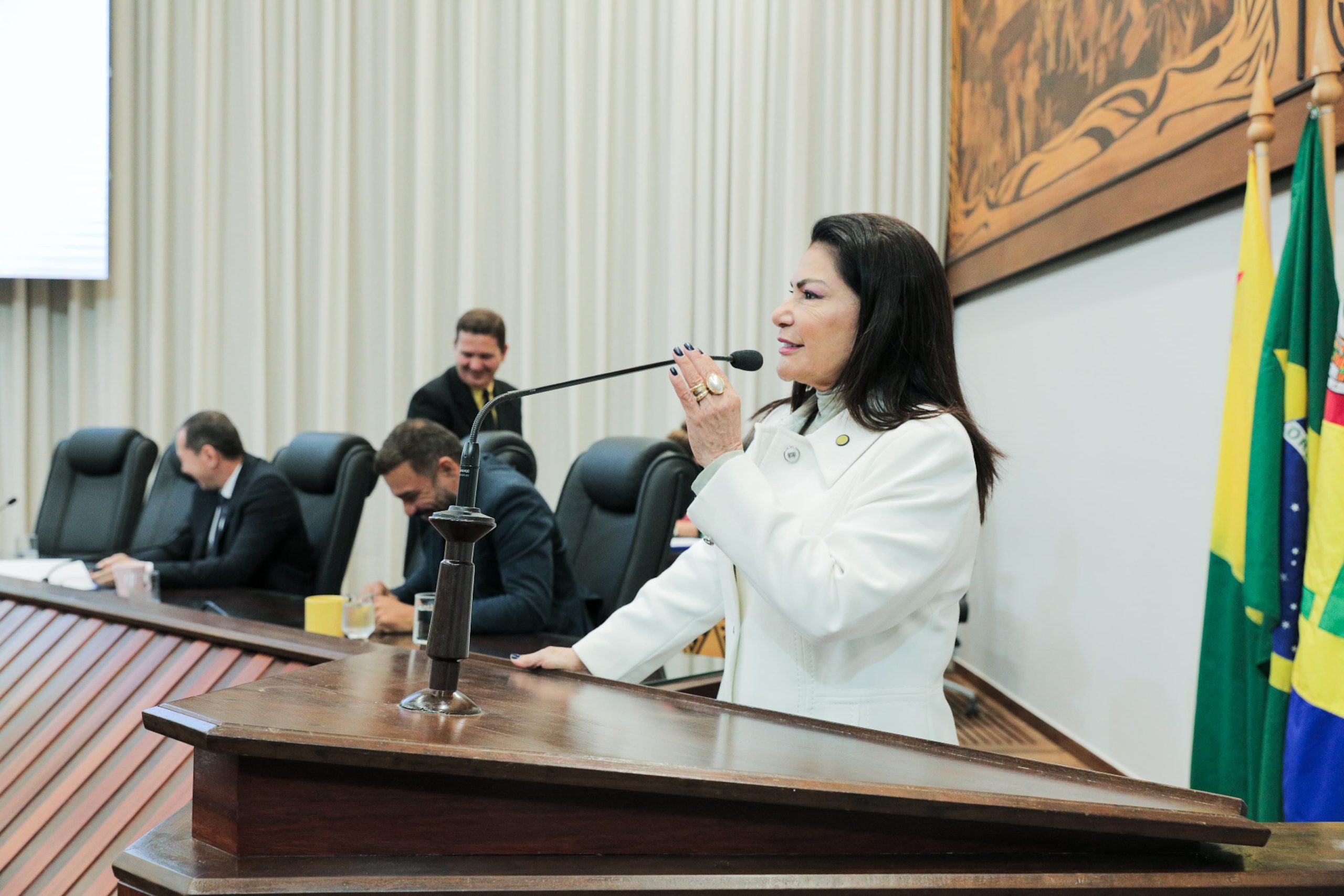 Antônia Sales defende diálogo nacional para enfrentar embargos ambientais e convoca participação na audiência do dia 11