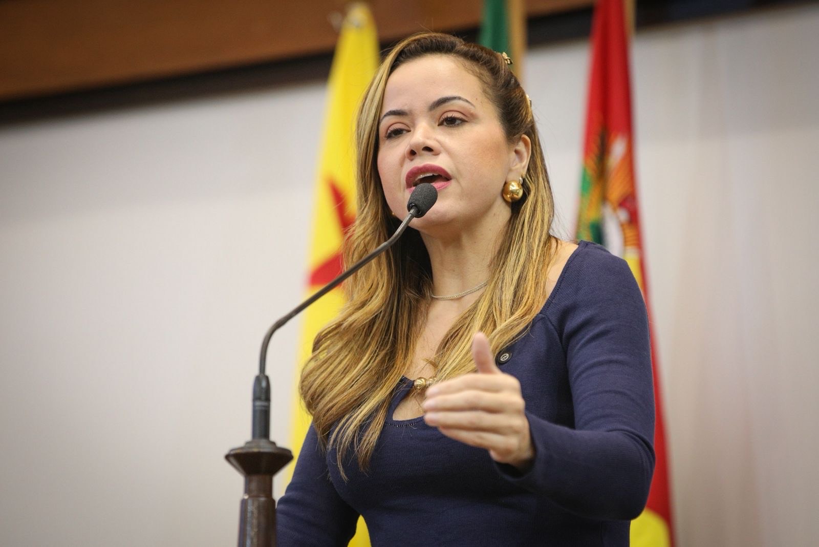 Michelle Melo critica falta de sensibilidade do governo e cobra valorização dos servidores públicos