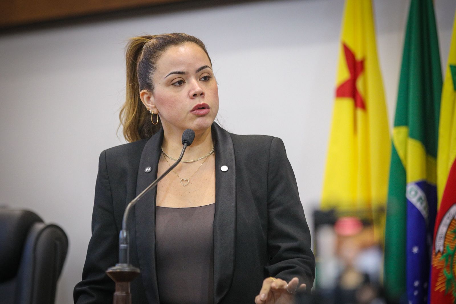  Michelle Melo destaca que o PCCR da Saúde é essencial para a qualidade do atendimento público e cobra prioridade do governo