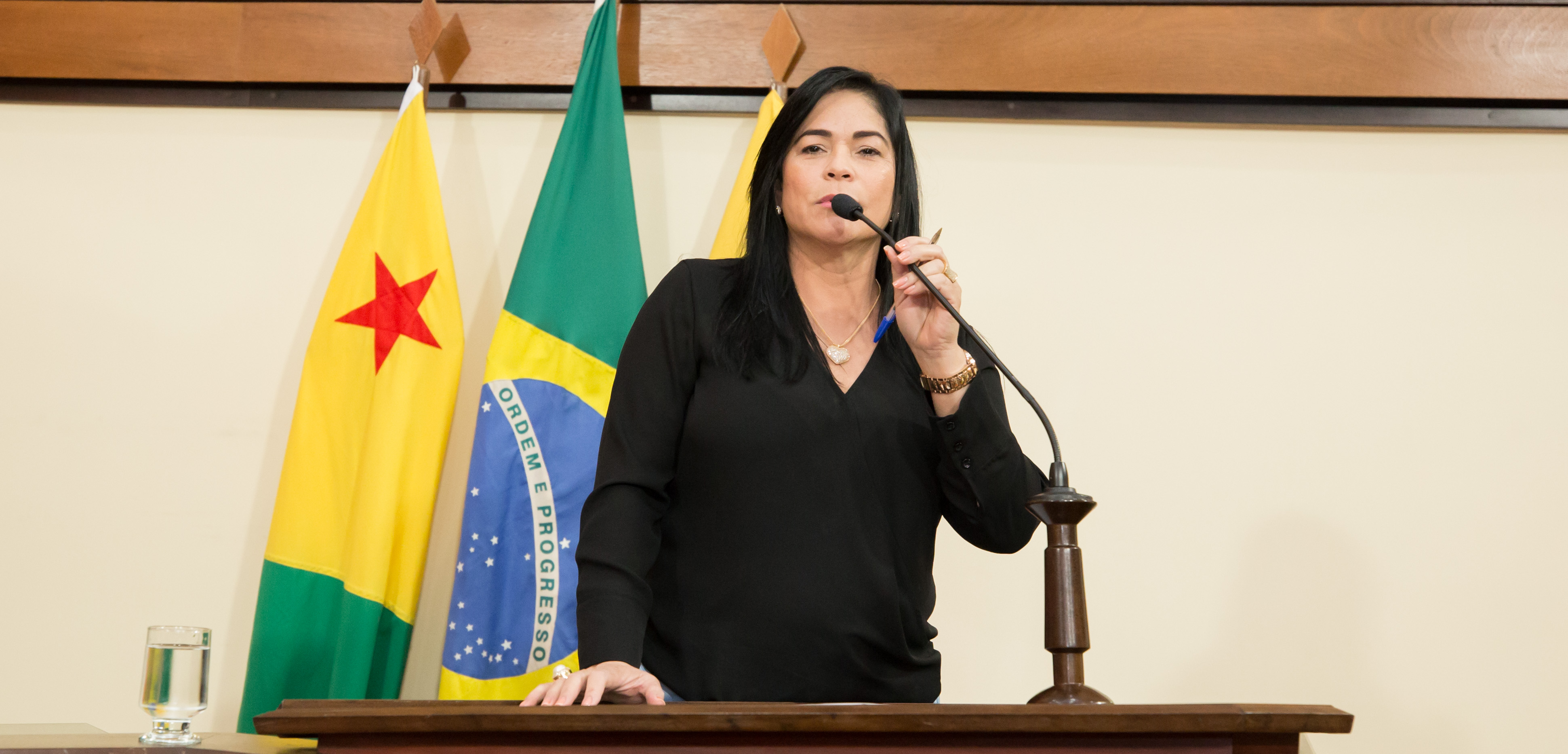 Maria Antônia pede instalação de Posto Policial no Agrovila