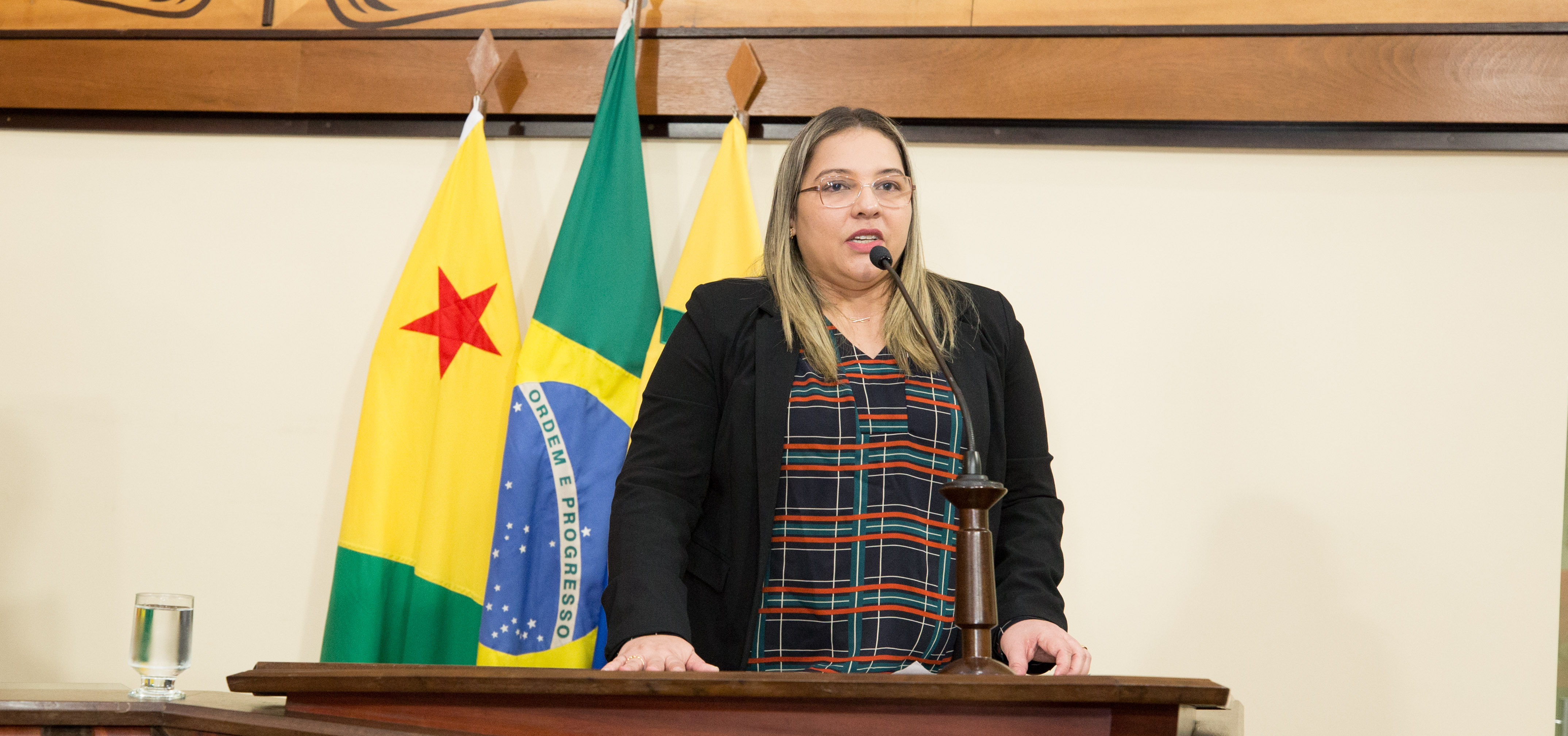 Meire Serafim defende instalação de CPI da conta de energia “Não podemos fugir deste debate”