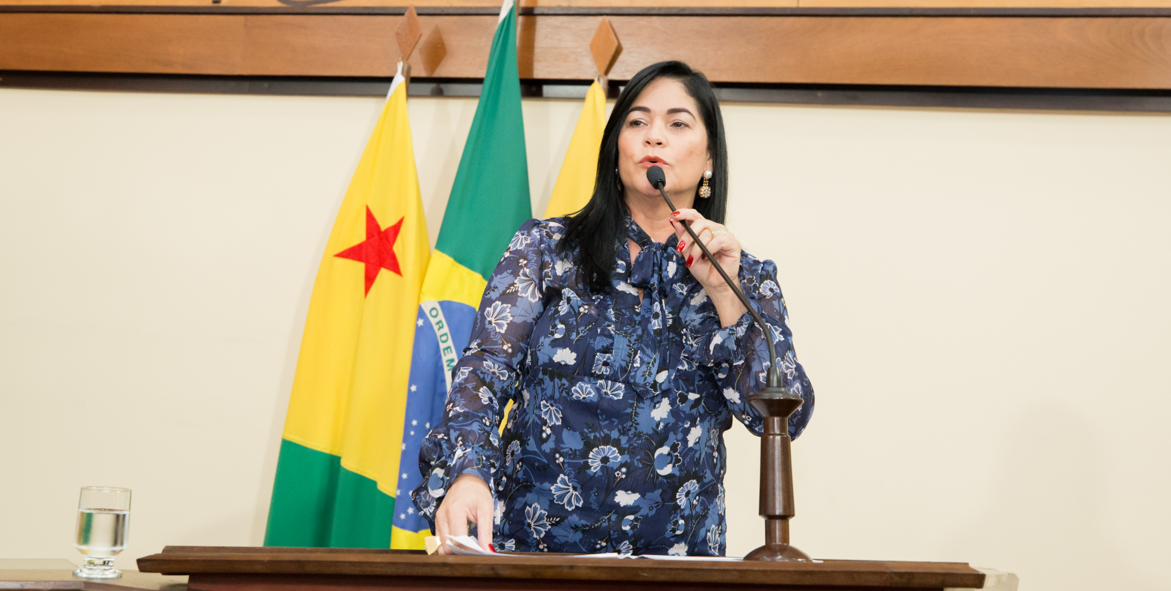 ﻿Deputada Maria Antônia apresenta PL sobre a normatização da terminologia “pessoas com deficiência”