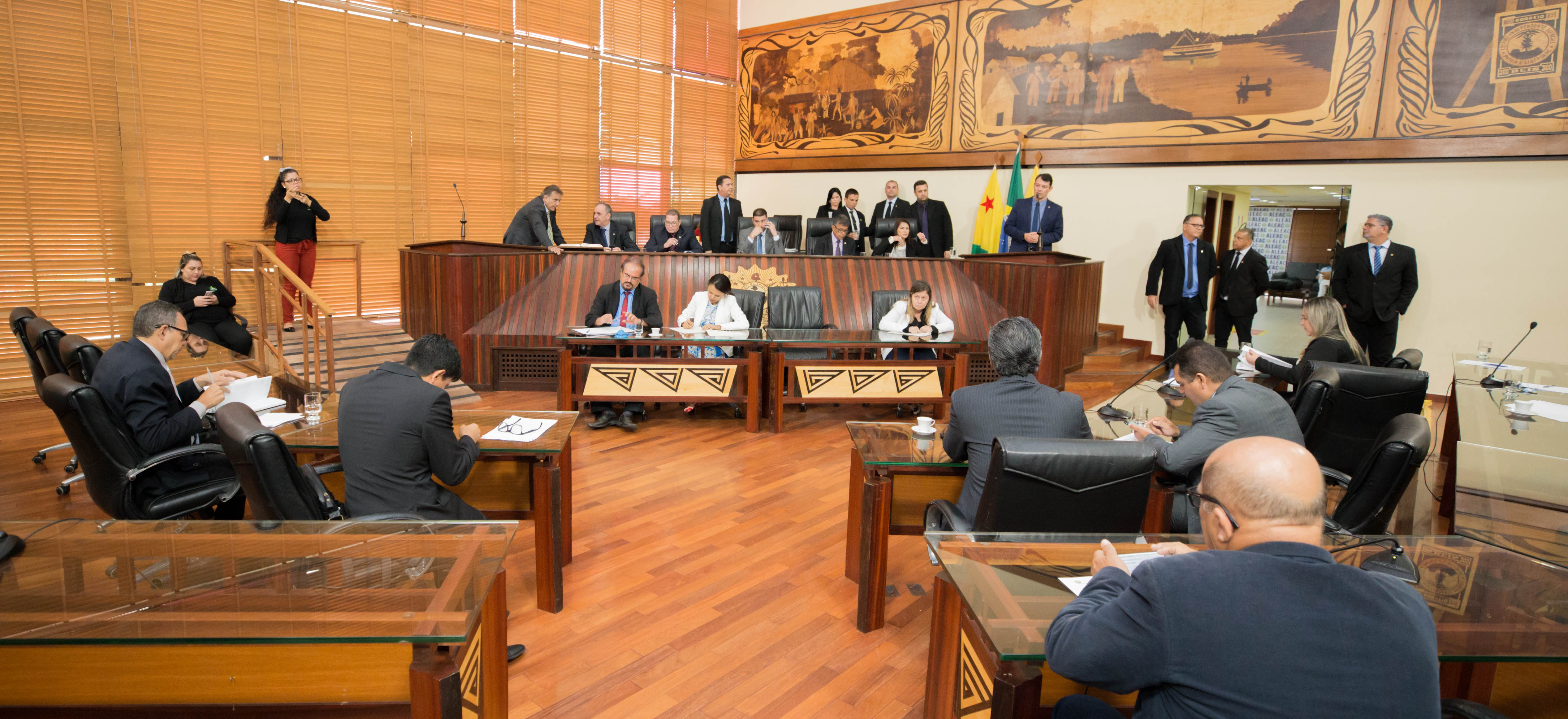 ﻿Aleac aprova indicação de Mayara Lima para presidir Ageac