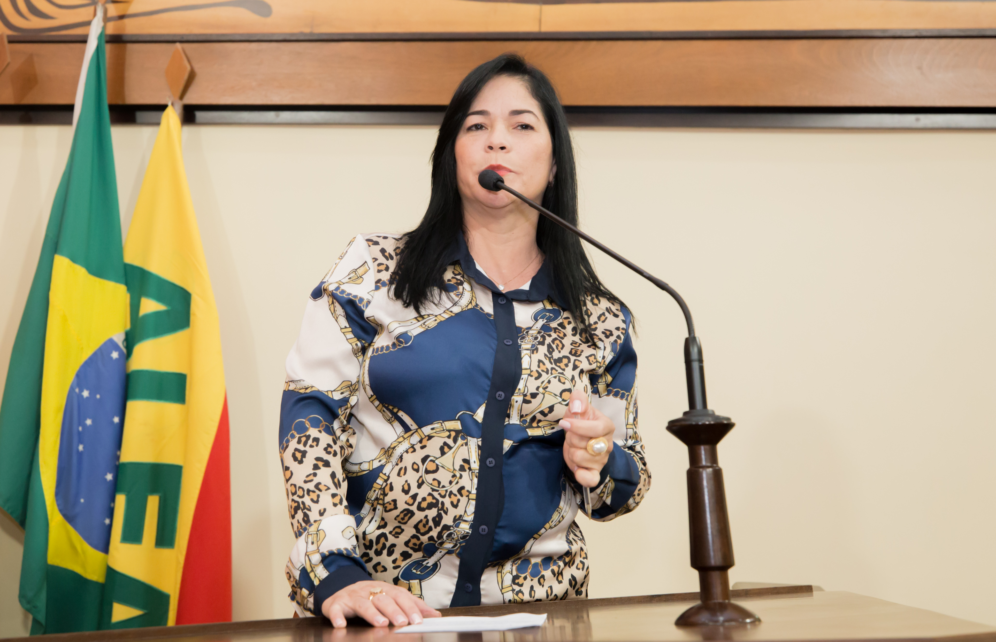 ﻿Deputada Maria Antônia destaca audiência pública em Brasiléia