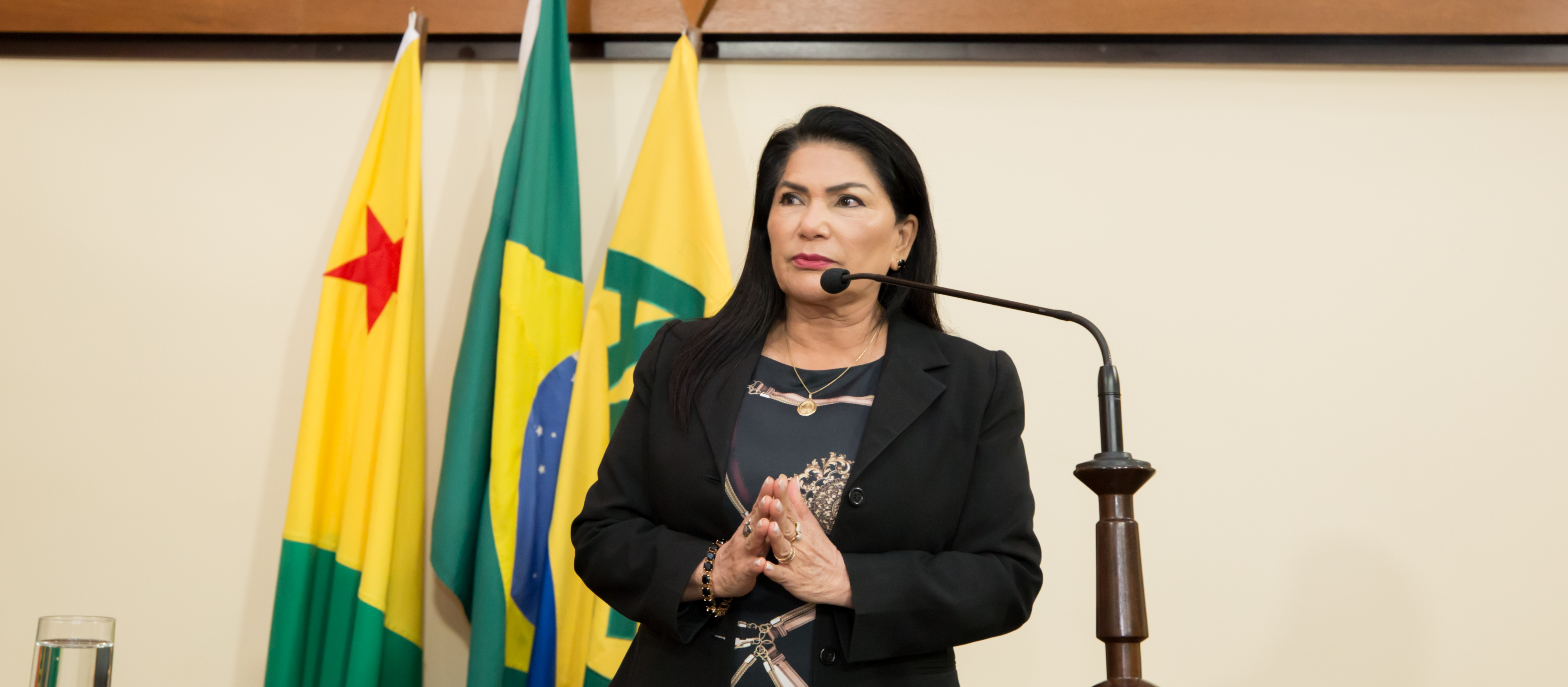 ﻿ “Acordos não podem virar brincadeira, diz Antonia Sales sobre veto do Executivo às emendas da LDO
